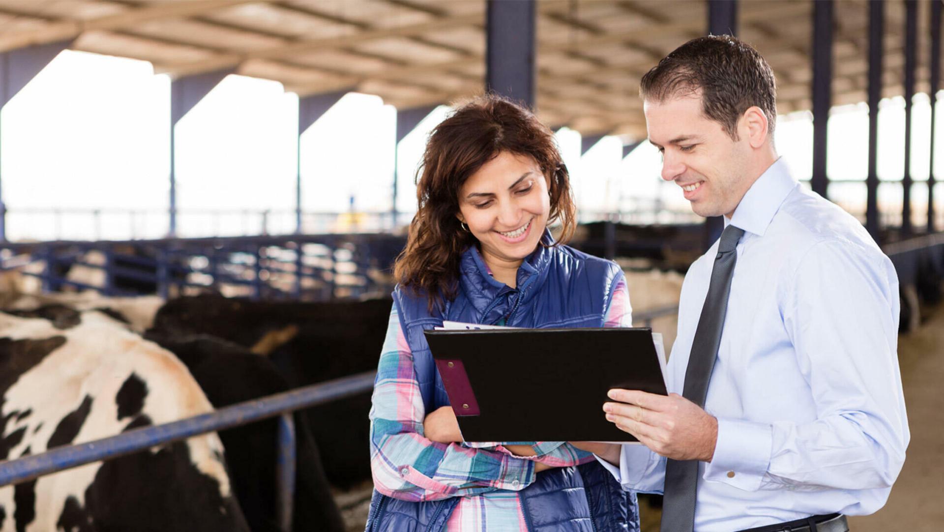 Collaborateurs du Cerfrance Indre